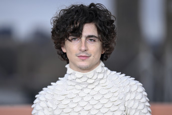 Картинка мужчины timothee+chalamet актер свитер