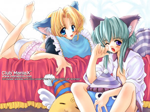 Картинка аниме animals