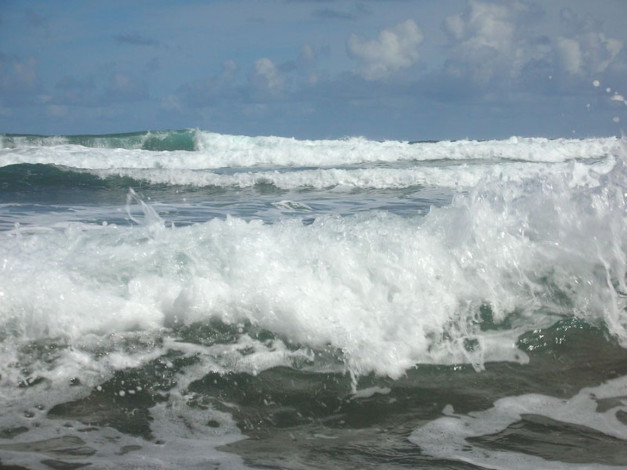 Обои картинки фото 