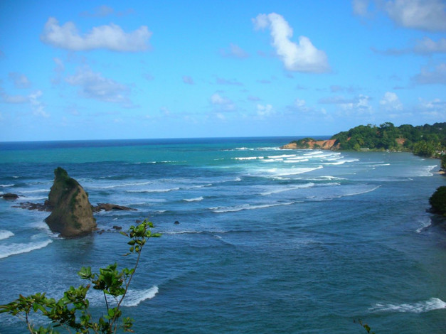 Обои картинки фото 