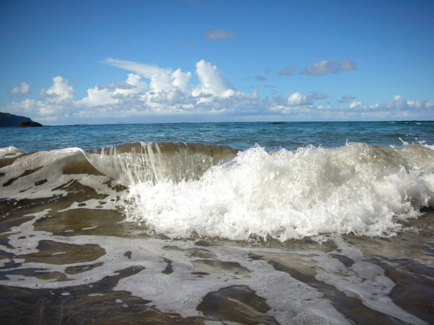 Обои картинки фото 