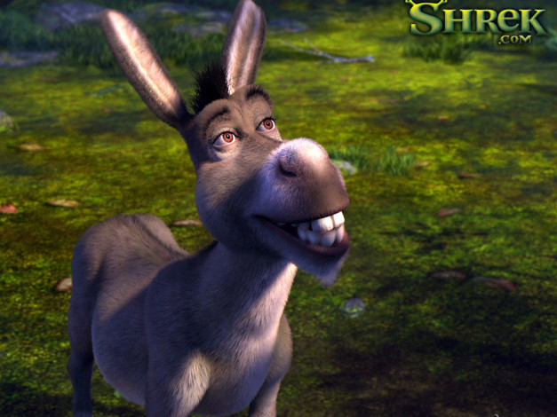 Обои картинки фото мультфильмы, shrek, the, third
