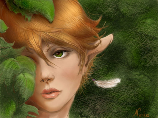 Обои картинки фото фэнтези, эльфы