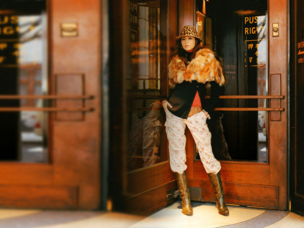 Обои картинки фото shiho, бренды