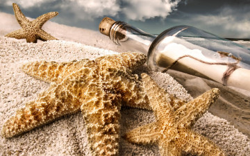 Картинка разное ракушки кораллы декоративные spa камни