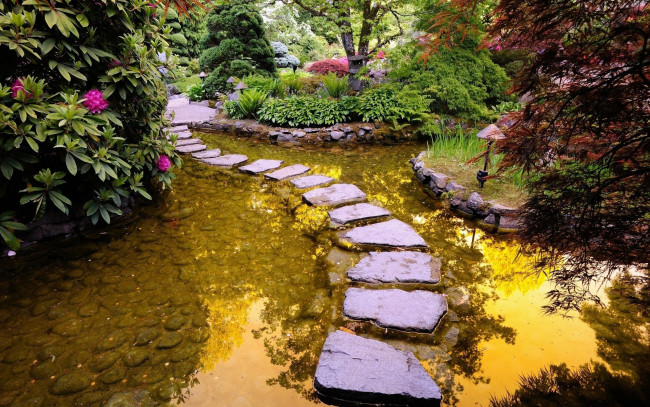 Обои картинки фото природа, парк