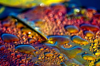 Картинка разное капли брызги всплески лист