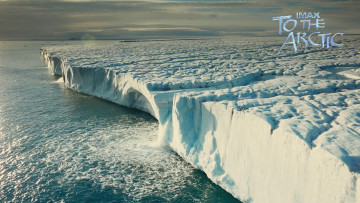 Картинка to the arctic 3d кино фильмы арктика ледник