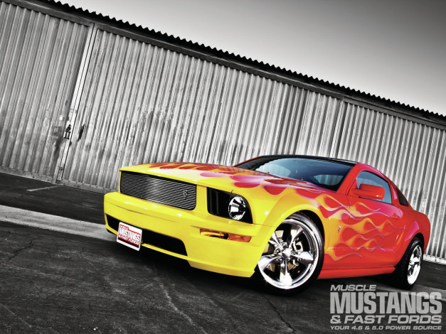 Обои картинки фото автомобили, mustang, auto