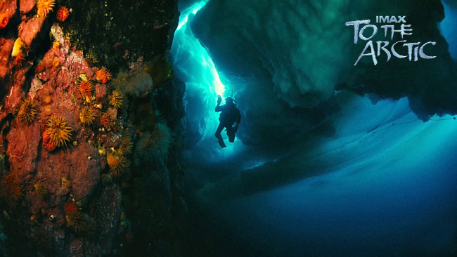 Обои картинки фото to, the, arctic, 3d, кино, фильмы, арктика