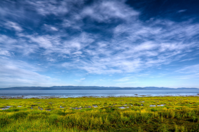 Обои картинки фото природа, облака, трава, поле, небо