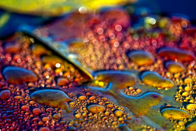 Обои картинки фото разное, капли, брызги, всплески, лист