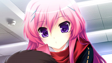 Картинка аниме shinigami no testament