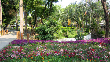 Картинка природа парк аллея клумбы