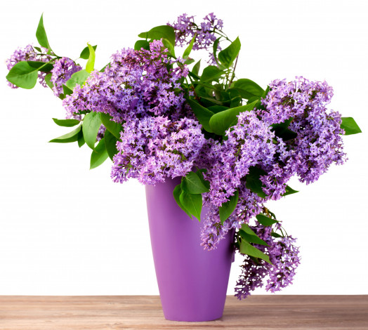 Обои картинки фото цветы, сирень, букет, сиреневый, ваза