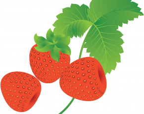 Картинка векторная+графика еда+ food листочки клубника