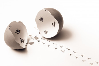 Картинка разное -+другое следы скорлупа