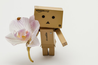 Картинка разное данбо+ danboard орхидея цветок данбо божья коровка