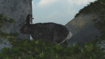 Картинка 3д+графика животные+ animals кролик