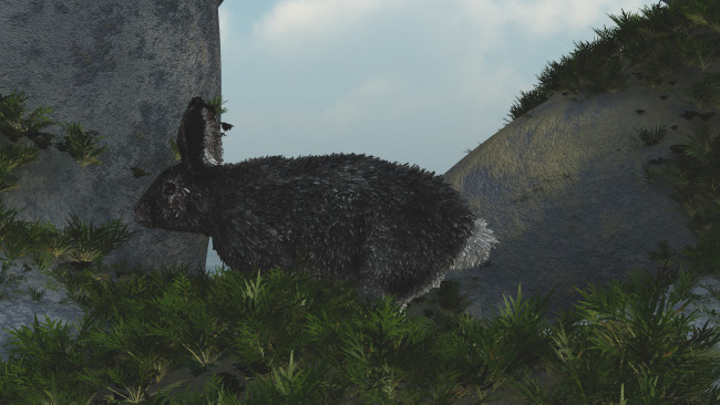 Обои картинки фото 3д графика, животные , animals, кролик