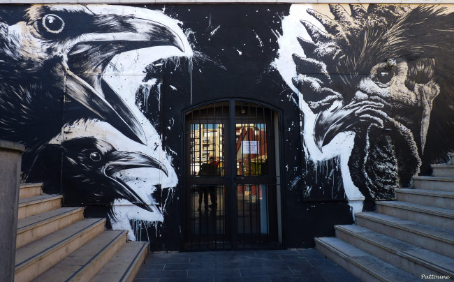 Обои картинки фото разное, граффити, птицы, вороны, петух, рисунки, графити, ступени