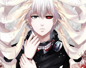 Картинка аниме tokyo+ghoul канеки гуль кости