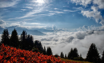 Картинка природа пейзажи небо утро