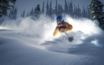Картинка спорт лыжный+спорт снег лыжник