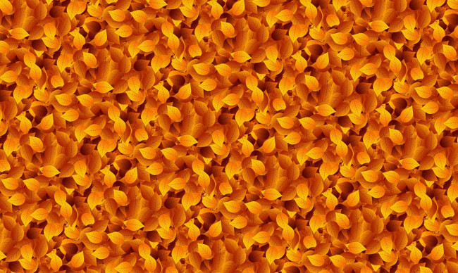 Обои картинки фото векторная графика, природа , nature, листья, осень, фон