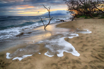 Картинка природа побережье берег море