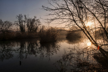 Картинка природа реки озера лес река