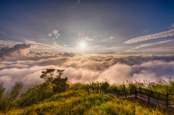 Картинка природа пейзажи рассвет