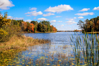 Картинка природа реки озера река лес