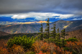 Картинка природа пейзажи горы лес