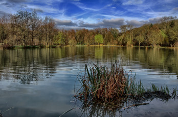 Картинка природа реки озера река лес