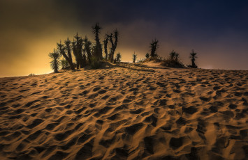 Картинка природа пустыни простор