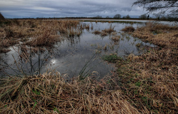 Картинка природа реки озера лес река