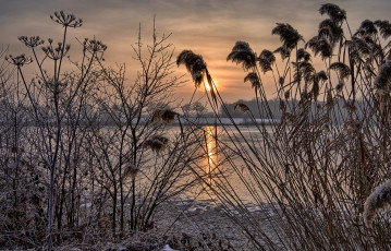 Картинка природа реки озера река лес