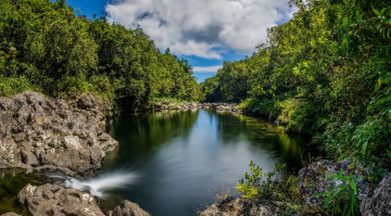 Картинка природа реки озера камни деревья вода