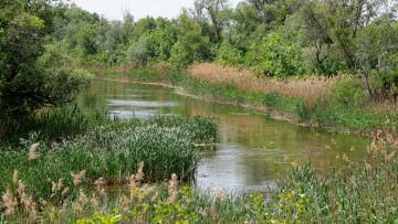 Картинка природа реки озера река лес