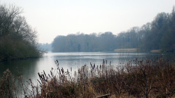 Картинка природа реки озера река туман камыши