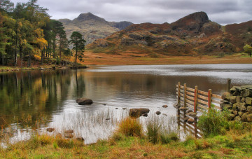 Картинка природа реки озера река лес