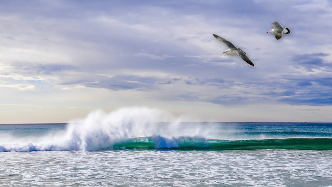 Обои картинки фото природа, моря, океаны, волны, брызги, море