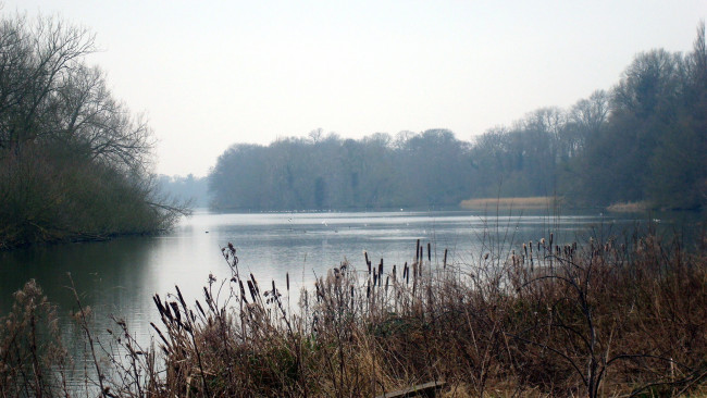 Обои картинки фото природа, реки, озера, река, туман, камыши