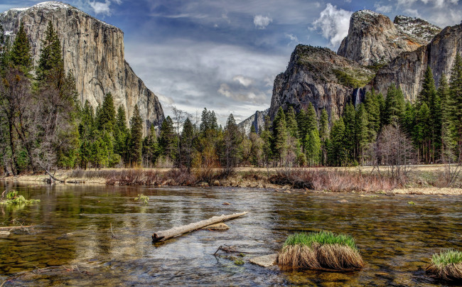 Обои картинки фото природа, реки, озера, река, лес