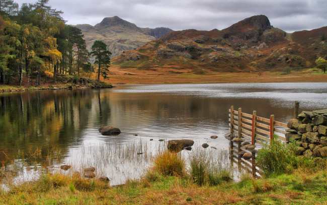 Обои картинки фото природа, реки, озера, река, лес