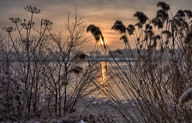 Обои картинки фото природа, реки, озера, река, лес