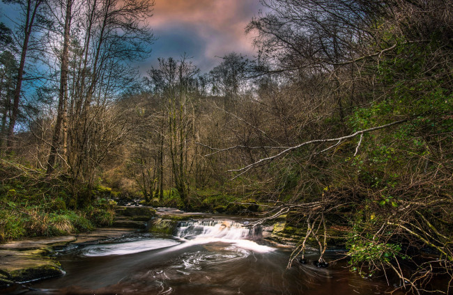 Обои картинки фото природа, реки, озера, река, лес