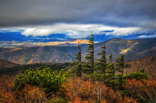 Обои картинки фото природа, пейзажи, горы, лес