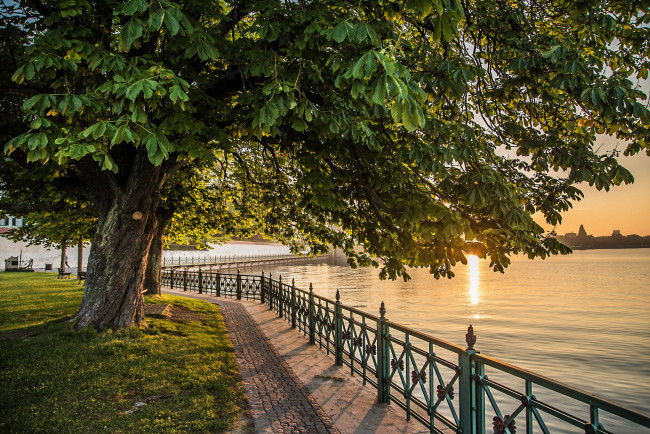 Обои картинки фото природа, реки, озера, река, лес